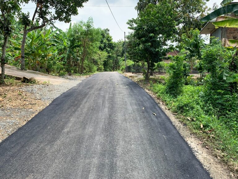 WhatsApp Image 2023-03-16 at 04.27.51