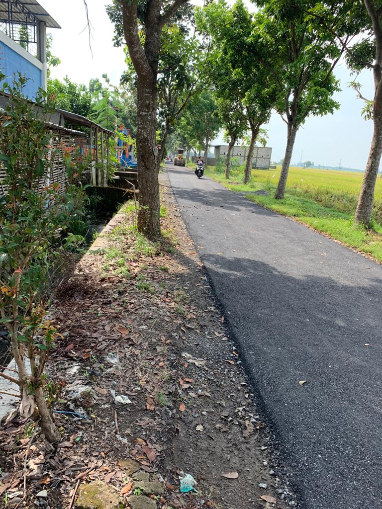 WhatsApp Image 2023-03-16 at 04.30.05