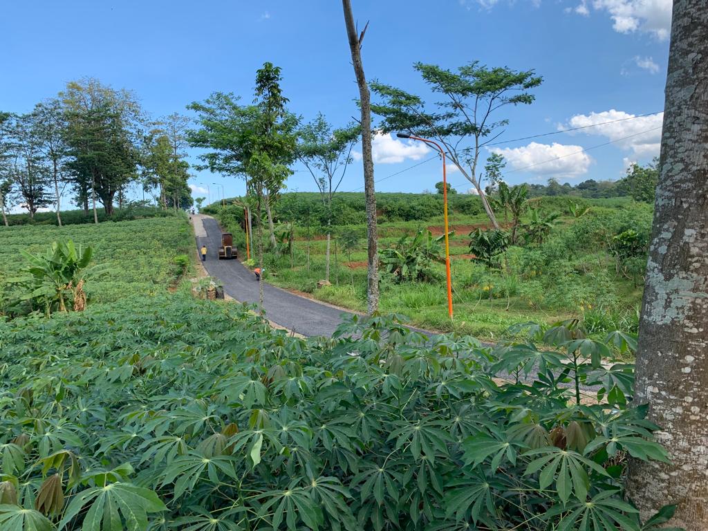 WhatsApp Image 2023-03-16 at 04.30.49